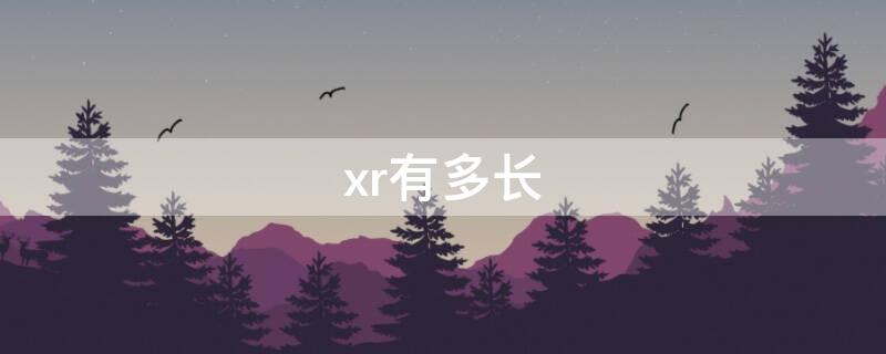 xr有多長 xr有多長多寬