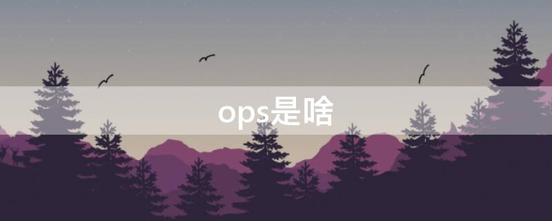 ops是啥 ops是啥意思