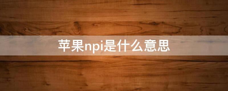 iPhonenpi是什么意思（蘋果手機(jī)pnc是什么意思）