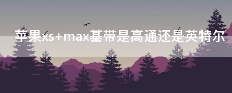 iPhonexs max基带是高通还是英特尔