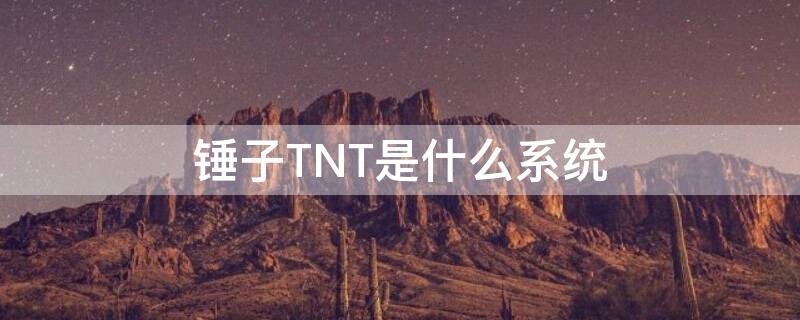 錘子TNT是什么系統(tǒng)（錘子tnt2.0）