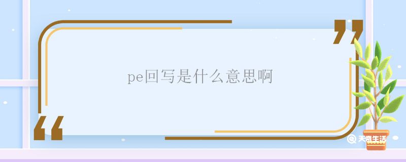 pe回写是什么意思啊 pe回写是什么