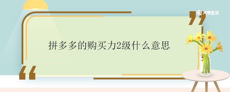 拼多多的购买力2级什么意思 什么是拼多多的购买力2级