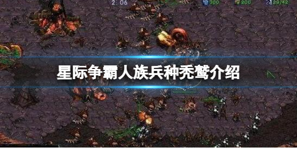 星际争霸人族有哪些兵种（星际争霸各个种族兵种介绍）