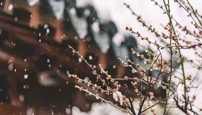 寬宥疲憊和風(fēng)雨