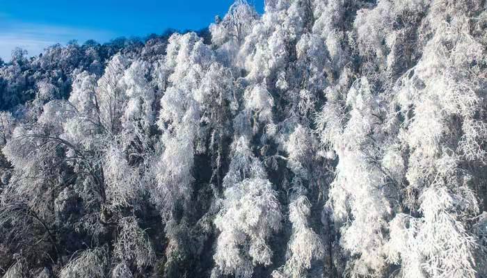 雪融化的詩(shī)句