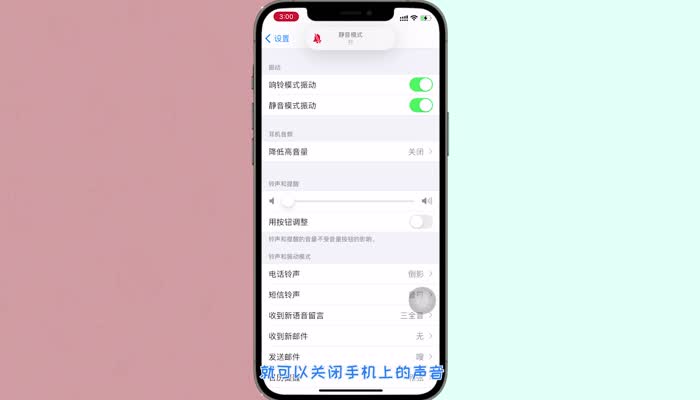 蘋果12相機聲音怎么關