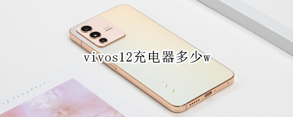 vivos12充电器多少w（vivos10pro充电器型号多少）