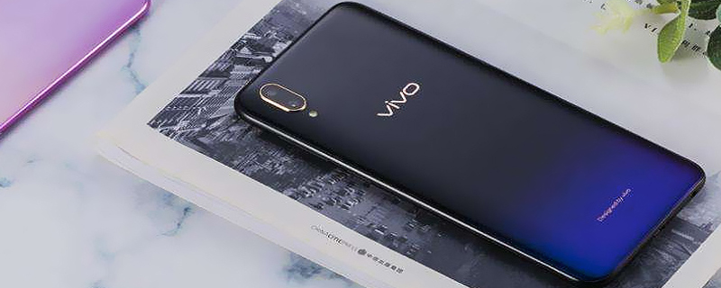 vivo