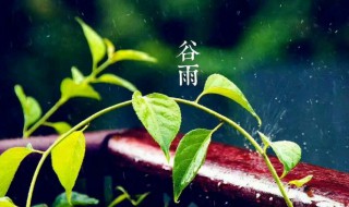 2022年三月二十日谷雨节气有什么宜忌（2021年4月20日谷雨节气）