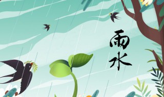 雨水节气天气特点 了解雨水节气