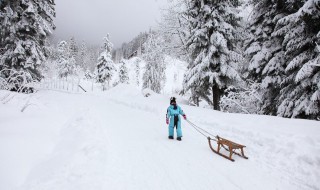 雪山的詩句 關(guān)于雪山的詩句