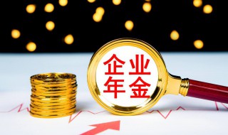 企业年金怎么查询个人账户 企业年金怎么查询个人账户余额桂林银行