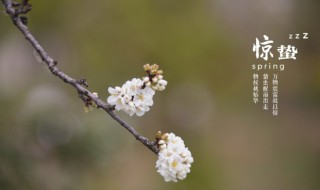 驚蟄當(dāng)天一定會(huì)打雷嗎 驚蟄打雷了嗎