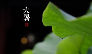 2022大暑節(jié)氣經(jīng)典說說祝福語(yǔ) 大暑節(jié)氣的祝福短信