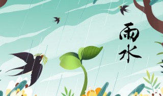 雨水吃什么傳統(tǒng)食物 雨水吃什么傳統(tǒng)食物 節(jié)氣