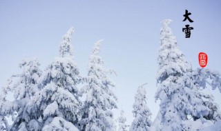 关于大雪节气的诗句有哪些 关于大雪节气的诗句古诗