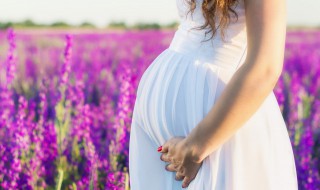 孕婦不可以吃哪些水果以及食物（孕婦不能吃哪些食物水果）