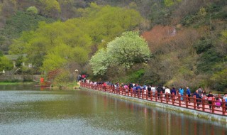 信阳市著名景点介绍（信阳的旅游景点简介）