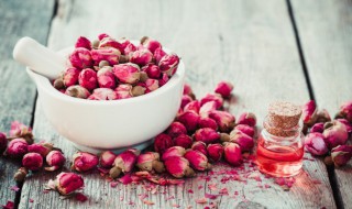 食用鲜玫瑰花可以冷冻吗 玫瑰花可以冷冻保鲜吗