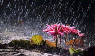 长沙梅雨季节是几月份到几月份结束（长沙梅雨季节持续多久）