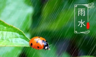 小雨是什么节气 小雨节气诗词