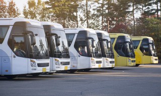 公交車司機要什么駕照（深圳公交車司機要什么駕照）