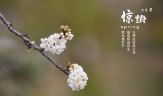 24节气雨水后是什么 24节气中排在雨水之后的是什么节气