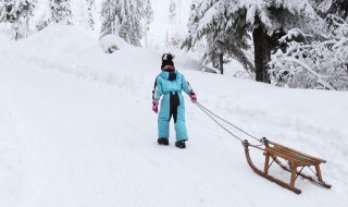 滑雪运动和溜冰运动有什么区别（滑雪和溜冰的区别）