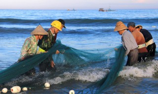 海底的魚(yú)有哪些形態(tài)（海底的魚(yú)形態(tài)各異）