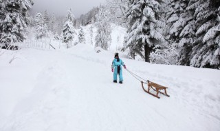 滑雪运动起源于什么地方 人类滑雪运动起源地之一在中国的什么地方