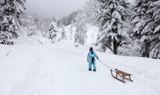 用盐化雪的原理是 撒盐化雪的原理