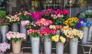 花店的花为什么那么香 花店的花为什么不香