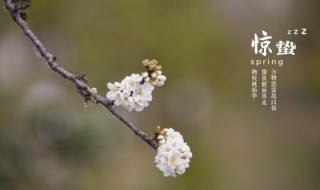 节气惊蛰怎么读 天气惊蛰怎么读