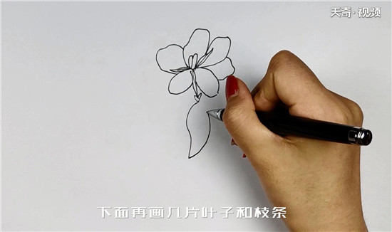 栀子花简笔画