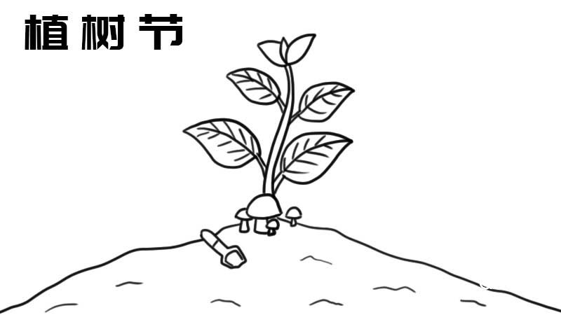 植樹節(jié)手抄報圖片