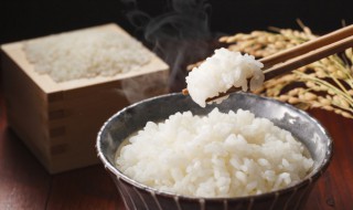 宿舍电煮锅怎么蒸米饭 宿舍电饭锅怎么蒸米饭