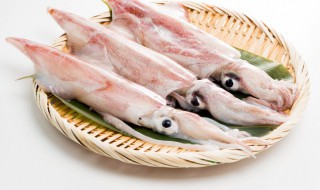 墨魚(yú)怎么煮（墨魚(yú)怎么煮才好吃）