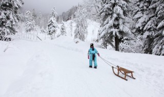 滑雪杖和登山杖区别 登山杖的区别