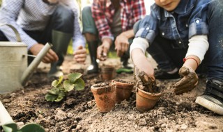 模拟人生4怎么种植物 模拟人生4如何种植物