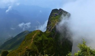 鸡公山海拔多少米（鸡公山海拔多少米高）