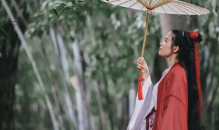 淡雅唯美古风意境女孩名（女子清新淡雅的古风名字）