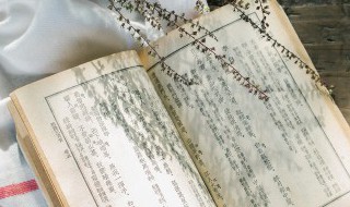 商鞅變法7上歷史書原話（商鞅變法的內(nèi)容七上歷史）