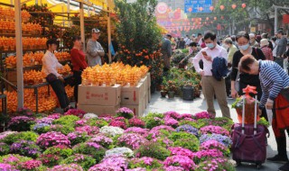 花一天浇几次水什么时间 花一般一天浇几次水