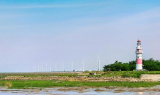 如東旅游攻略（如東縣旅游攻略一日游）