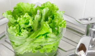 生菜英语怎么说（生菜英语怎么说 lettuce）