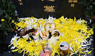 清明節(jié)祭奠鮮花一般包幾朵 清明節(jié)上墳?zāi)脦资?></p>
       <p>1、一般11朵或是19朵居多。清明祭祀是自古以來就有的傳統(tǒng)，但隨著時(shí)代的進(jìn)步，很多人都將之前用來祭祀的蠟燭換成了花束，花束一般11朵或是19朵居多，但是也沒有限制。主要是為了表達(dá)一種懷舊情懷。</p><p>2、挑選花朵的時(shí)候顏色主要是白色黃色為主白色和黃色交錯(cuò)。加上一些紫色勿忘我。這樣一束鮮花，擺放在親人墓前，寄托著深厚的感情。清明節(jié)中使用的花不必刻意追求花的意義，而是用色彩的語言來表達(dá)悲。</p>    </div>
    
   <div   id=