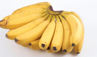 大蕉的保存方法 大批香蕉怎么保存