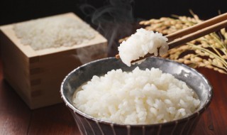 電飯煲蒸大米飯的做法（電飯煲蒸大米飯的做法大全）