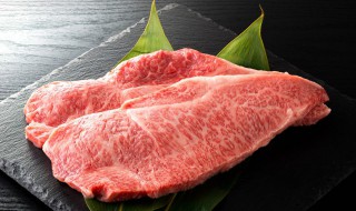 瘦肉放冰箱冷藏5天可以吗 瘦肉放冰箱急冻可以放多少天